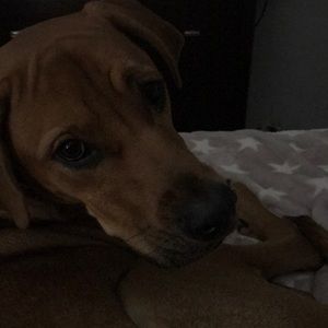 Meet your Posher, Sara